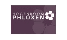 Hogenboom Phloxen