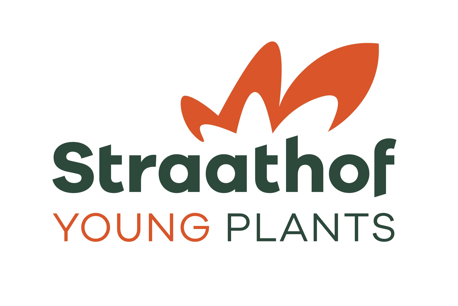Straathof Young Plants
